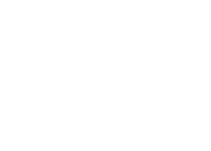 Logo SunFrux